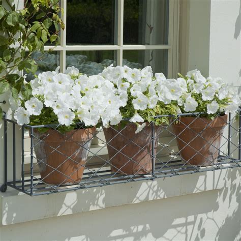 Metal Window box Planters, Stands & Window Boxes 